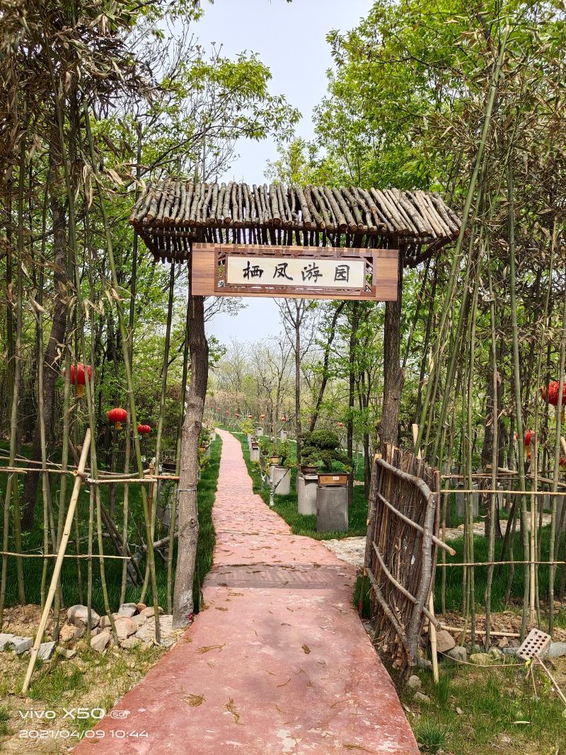 旅游景区标牌